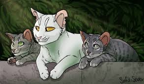 Pin By Jami Mckane On Warriors Cats Warrior Cats Art Warrior Cats Cat Character