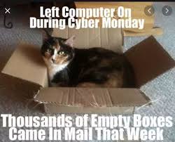 18 Cyber Monday Animal Memes Because They Want In On The Action Funny Animals With Captions Animal Memes Cat Captions