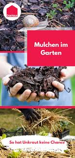 Mulchen Im Garten So Geht S Richtig Das Haus In 2020 Mulchen Garten Grunschnitt