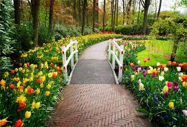 Background pemandangan taman bunga 3 » background check all. Laeacco Park Spring Green Blossom Flower Floret Tree Passage Way Scenic Photo Background Photography Backdrops Photo Studio