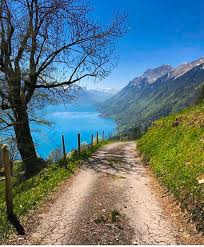 We investigate the best natural beauty treatments. Natural Beauty Tourism Brienz Switzerland Photograph By Rohit Kushwaha