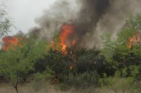 How to get rid of smoke smell in the house: How To Remove Smoke Smell From A Home