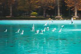 genclik parki fotograflari ankara ulus cekergezer hakan aydin ankara genclik parki lunapark fiyatlari ankara gezilecek yerler anka fotograf genclik ankara