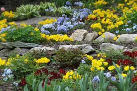 Rock gardens come in many forms. About Rock Gardens Howstuffworks