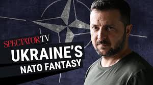 @spectator's video Tweet