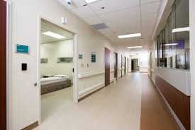 Behavioral And Mental Health Services Trident Health System