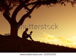 Select from 2191 premium teenage boy standing . Boy With Book Sitting Under Tree In Park Stock Photos And Images Avopix Com