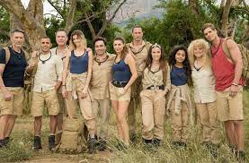 Je Suis Une Celebrite Sortez Moi De La Revient Sur Tf1