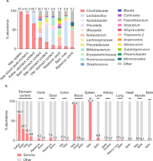 Sarcina are large gram positive anaerobic bacteria which grow in recognizable tetrads and octets. A Sarcina Bacterium Linked To Lethal Disease In Sanctuary Chimpanzees In Sierra Leone Nature Communications