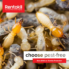 Fall invaders also bring a pest professional can treat your property and set up devices that watch for harmful insects, like. The Best 10 Pest Control In Las Vegas Nv Last Updated July 2021 Yelp