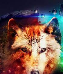20 Anime Wolf Wallpaper Android Fantasy Wolf Wallpaper Download Wolf Animated Wallpapers Wolf Wallpapers Pro D Android Wallpaper Fantasy Wolf Anime Wolf