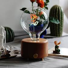 The Little Prince's Rose Lamp