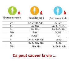 Comment se déroule le prélèvement ? 27 Idees De Alimentation Selon Son Groupe Sanguin En 2021 Groupe Sanguin Alimentation Regime Groupe Sanguin
