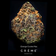 The heady hybrid known for packing both a creative punch and . Buy Orange Cookies M A C 3 5g By Creme Genetics Near Me In Camarillo
