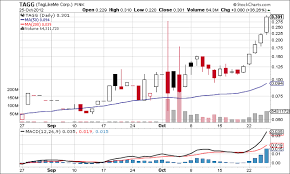 How To Spot A Penny Stock Pump And Dump Timothy Sykes