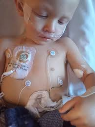 The big white goose swallowed the wire by mistake for the operation, and  the father goose donated blood for his daughter and stayed in front of the  bed after the operation