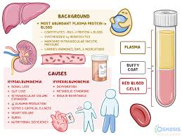 Liver - Wikipedia