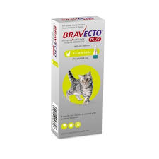 Applied to back of head. Bravecto Plus Cats 1 2 2 8kg 1pipette