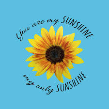 Check spelling or type a new query. You Are My Sunshine My Only Sunshine Photograph By Stamp City