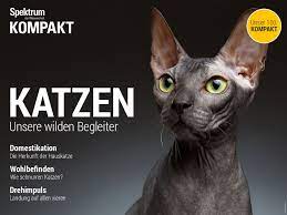 Allerdings wird sie nicht gerne zu lange alleine gelassen, selbst, wenn sie eine zweite katze als gesellschaft hat. Spektrum Kompakt Katzen Spektrum Der Wissenschaft