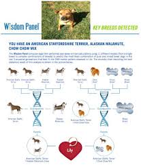 Pin On Dog Dna
