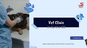 Bluepearl pet hospital ⭐ , united states, seattle, 13240 aurora ave n: Vet Clinic In Aurora Co