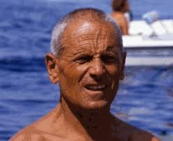 Dolphin rescue by Italian diver Enzo Mallorca near Syracuse coast