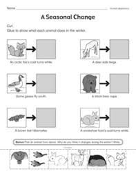 Download and print turtle diary's animal adaptations worksheet. Search Adaptations The Mailbox