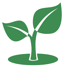 Green world is a landscaping company servicing hampstead, nh. Green World Llc Home Facebook