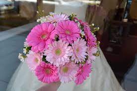 Perfect for special celebrations or bringing cheer to everyday moments, these colorful flowers are perfect for every occasion from get well to just. Gerbera Daisy Wedding Bouquets