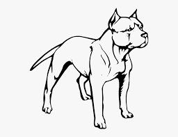 American Pit Bull Terrier Puppy American Bully Full Body Pitbull Drawing Free Transparent Clipart Clipartkey Black and white woodcut jesus christ carrying a cross #1230734 by black and white ornate floral day of the dead skull #1151221 by lineartestpilot. american pit bull terrier puppy