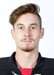 Samuel Petry's Instagram, Twitter & Facebook