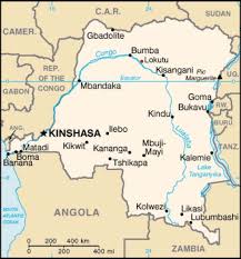 Image result for Thomandersia congolana