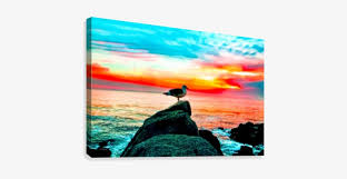 You can also download wallpaper from above listed resolution. Seagull Bird On The Stone With Ocean Sunset Sky Background Canvas Print Transparent Png 429x344 Free Download On Nicepng