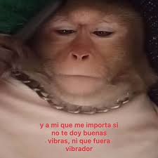 Ximena Dionicio @_ximedionicio_