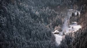 We got our cuckoo clock here. Pin By Lisa Berger On Winter Season Christmas Black Forest Germany Black Forest Most Beautiful Places
