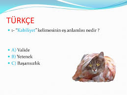 Kedinin Es Anlamlisi