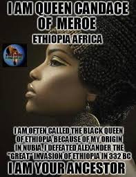 Reginald Melton (rmelton37)