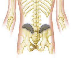 The Problem With The Back Mouse Massagetherapy Com