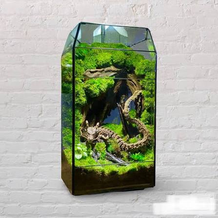 BIẾN HÌNH KHÔNG GIAN CỦA BẠN VỚI BỂ FANTASY TERRARIUM HANG RỒNG ĐỘC ĐÁO! 