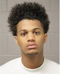 ᐅ Illinois Criminal Records 2009-2024