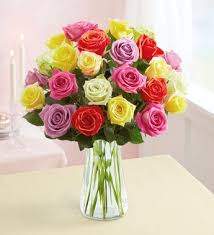1 bonsai plant unbreakable fiber potpot color: 1800flowers Two Dozen Assorted Roses Flower Bouquet With Clear Glass Vase 24 Flowers Walmart Com Walmart Com