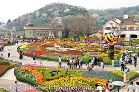 Bunga camelia di camelia hill jeju, korea selatan. Everland Taman Hiburan Terbesar Di Korea Selatan Explorer Guidebook