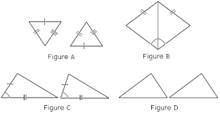 4 3 practice congruent triangles worksheet answers inspirational from triangle congruence worksheet answer key , source: Pin On Flora
