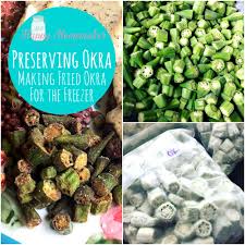 Dredge okra in the cornmeal mixture, coating evenly. Preserving Okra Making Fried Okra For The Freezer Mrs Happy Homemaker