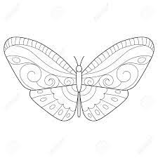 This diagram will get your child in the springtime spirit. Butterfly Coloring Page For Children And Adults Stock Photo Picture And Royalty Free Image Image 149414923