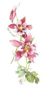 Pin By Cj Manalo On Lovely Ii Beautiful Flower Drawings Flower Art Floral Painting