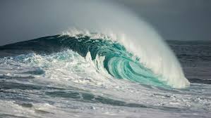 Image result for ocean for kids