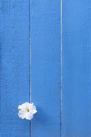  10 Background Ideas Wallpaper Backgrounds Watercolor Background Colorful Backgrounds