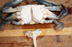 Maybe you would like to learn more about one of these? 60 Soft Shelled Crab Baby Ideas Soft Shell Crab Crab Recipes Seafood Recipes